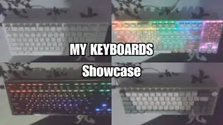 Kiro's KEYBOARD COLLECTION ASMR (2024)