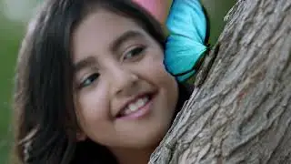 shajah tv idents