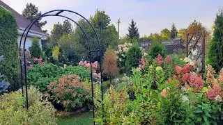 Разноцветный сад Девятой реальности в сентябре🌿Новости из нашего сада🌿