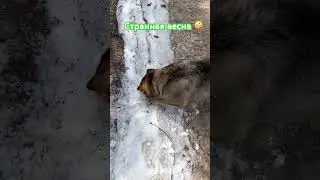 Даже в + 20 можно найти лед и снег!))