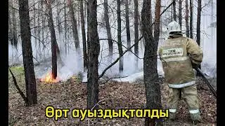 #Абай Облысы өрт тоқтады!