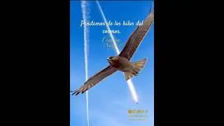 Suerte? Destino? #frasesinspiradoras #birds