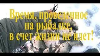 Ловля леща! Наконец-то на льду!