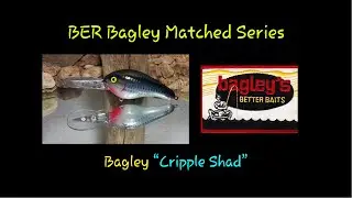 BER Matched Bagley Series "Cripple Shad"
