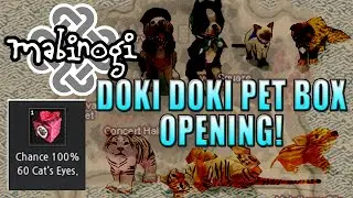 Mabinogi: Ruairi - Doki Doki Pet Box Opening!