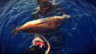 Pescasub_GROSSO DENTICE ALL' AGGUATO - 7 kg Dentex