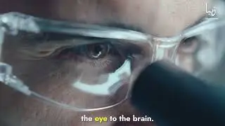 Eyes Like Cameras: Exploring How We See the World