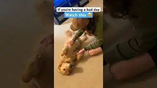 Having a bad day? Watch this🥹