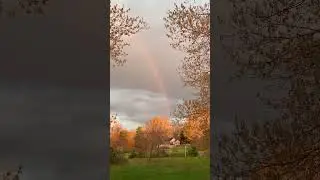 Most Beautiful Rainbow at Sunrise I've ever seen on Forsythia Hill