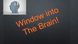 Brain and Environmental Training Towards Emotional Resilience