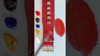 Matching Colors | Dog Collar