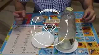 Яичный челлендж/Egg challenge. Затянет ли яйцо в бутылку?