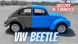 VW Beetle History & Facts Will Blow Your Mind