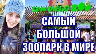 США 🇺🇸 САМЫЙ БОЛЬШОЙ ЗООПАРК В МИРЕ SAN DIEGO ZOO