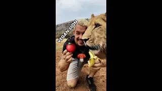 VEGAN LION?! 😱🦁 