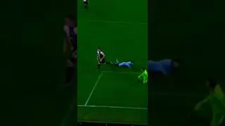 DE LIGT BREXIT 🔥