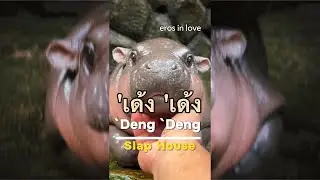 Eros in Love - Deng Deng (เด้ง เด้ง) : Moo Deng’s Viral Hippo | Slap House | (Official Music Video)
