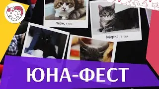 Выставка-пристройство животных «Юна-фест» на ilikpet