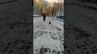 #побег