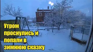 Манная каша. Зимняя сказка. Жарили молозиво. Занимаюсь стряпней. Новый дневник. Мяша на дорогах.