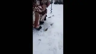А где клюёт