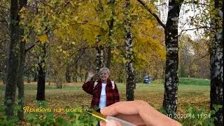 Привет из моей осени - STaNik