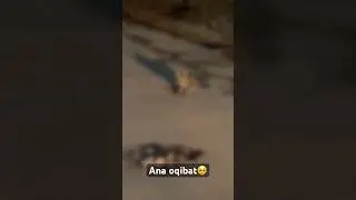 Ana oqibat🥺