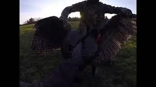 Spring 2022 Maine Turkey Hunt