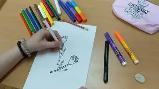 Как нарисовать тюльпан. Рисуем цветы.