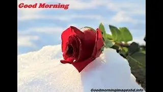 #best wish for friends