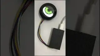 Devil eyes light  for car modifications | Blazexel 