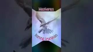 Masteran sang JUARA, burung TRUCUKAN