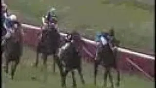 1988 Breeders' Cup Mile