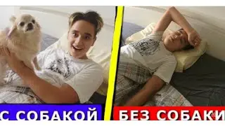 ЖИЗНЬ С СОБАКОЙ vs ЖИЗНИ БЕЗ СОБАКИ