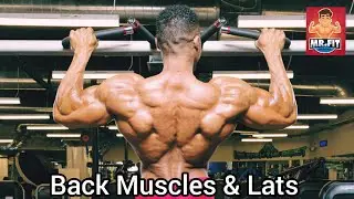 Lats Workout | Back Muscle Workout