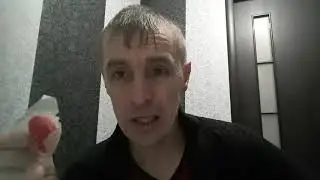 Как избавиться от крыс и мышей?