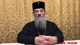 Митрополит Лука о допросе в СБУ, гонителях УПЦ и пикете Запорожской епархии радикалами