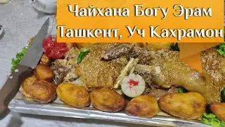 Чайхана Боґу Эрам в Ташкенте после круга Уч Кахрамон - Boĝu Eram choyxonasi Uch Qahramon