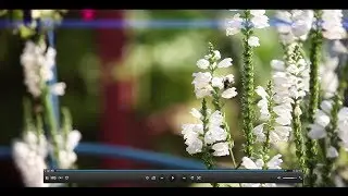 Свадьба в Триполье (утро)