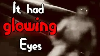 The obscure corners of the internet