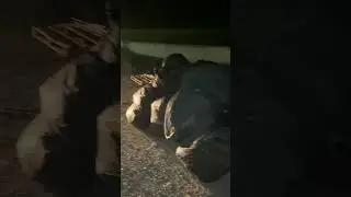 Kaynarca Mobilyacılar OSB’de H.M. Adlı firma atıklarını usülsüz olarak attı.