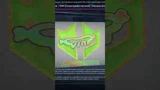 Самые красивые автографы игроков в Copenhagen 2024 CS2 Major 