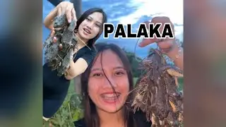 NADAPA!😱Namingwit ng Palaka sa Bukid