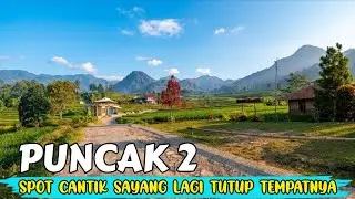 DEKAT SAWAH VIRAL‼️ CARINGIN RIVERSIDE VIEWNYA REKOMEN BANGET NIH DI PUNCAK 2