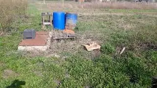 11.04.24р. Робота на плантації з лохиною!