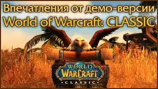 WoW Classic Demo Opinion.