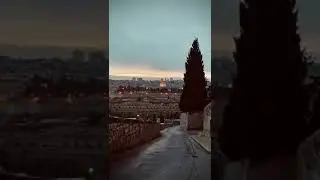 Достоинства молитвы, совершаемой в мечети аль-Акса #палестина #хадис