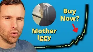 Why Mother Iggy keeps rising 🤩 Crypto Token Analysis