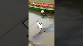 Man-eating crocodile vs wrong person