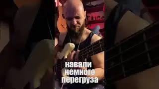 Как улучшить звук дешевого баса? 🎸